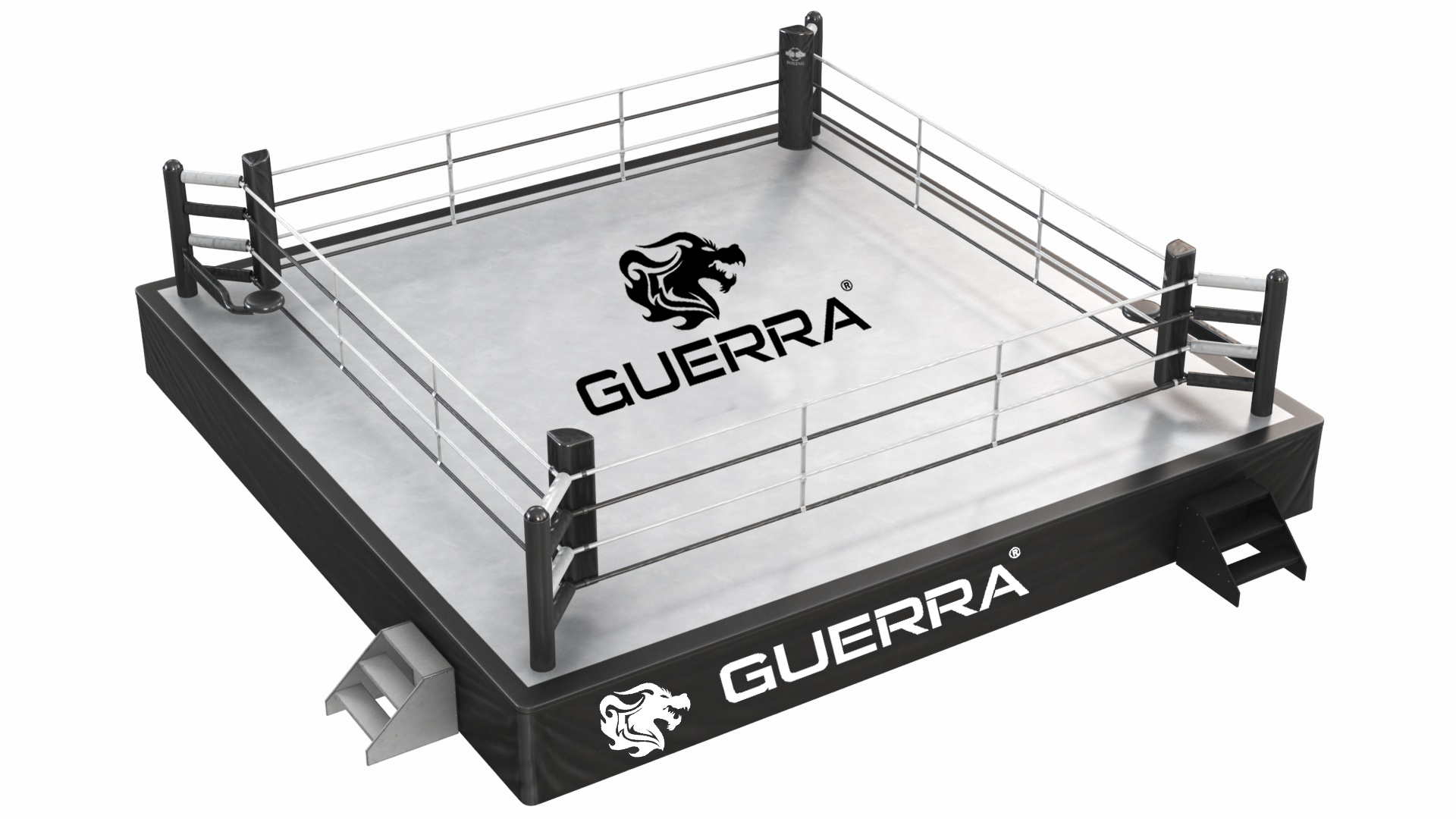 Boxing Ring Training