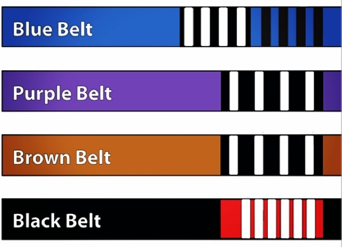 BJJ - Belts (Adult)