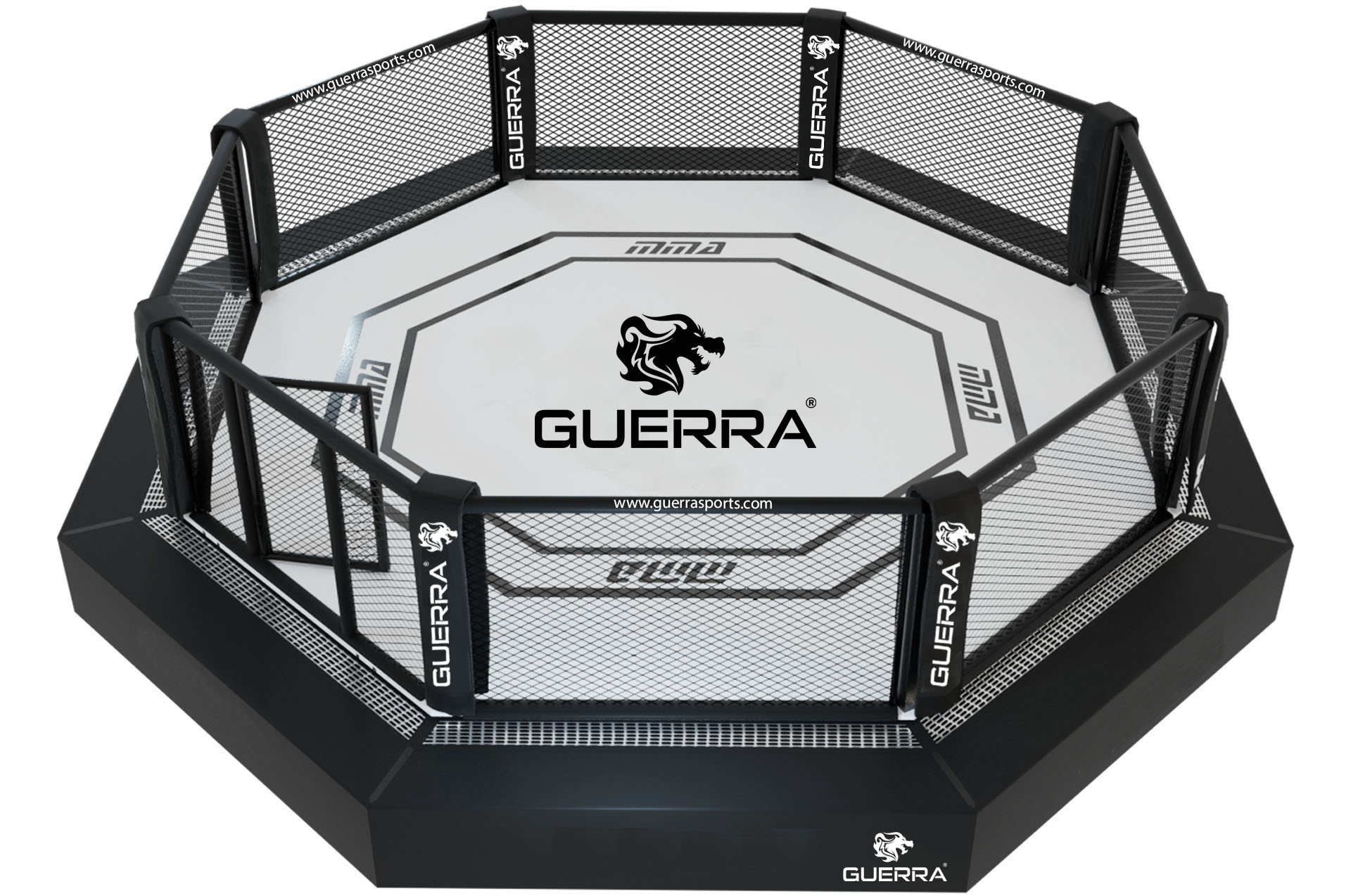 MMA Cage Training
