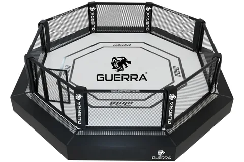 MMA Cage Training