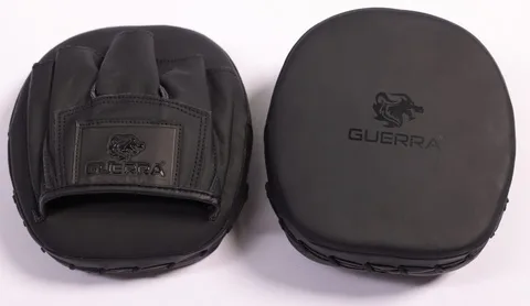 Target Mitts (Pair)