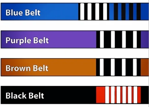 BJJ - Belts (Adult)