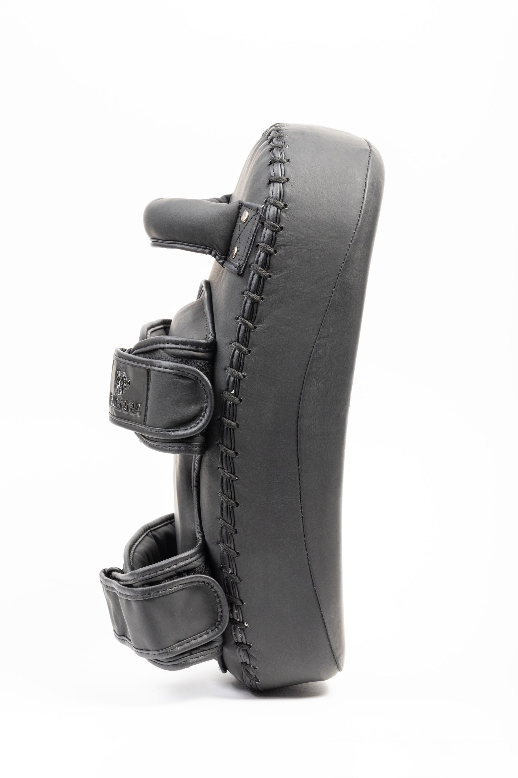 Muay Thai Pads (Pair)