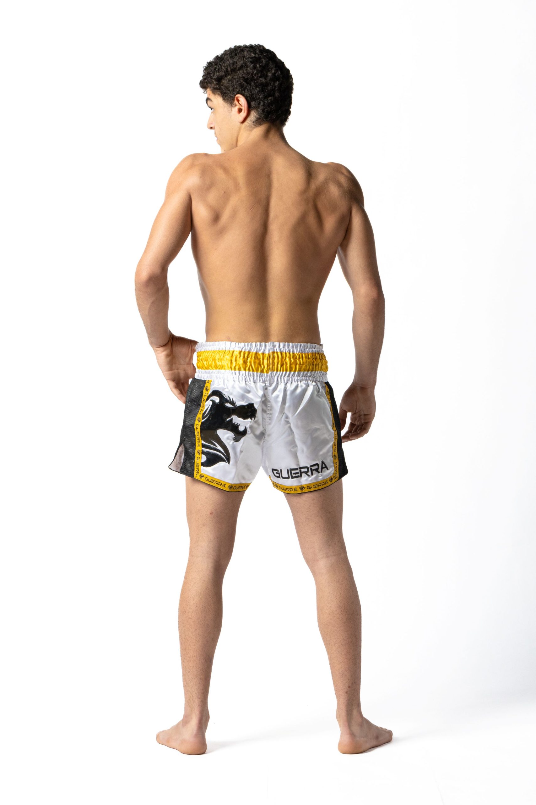 Muay Thai Shorts