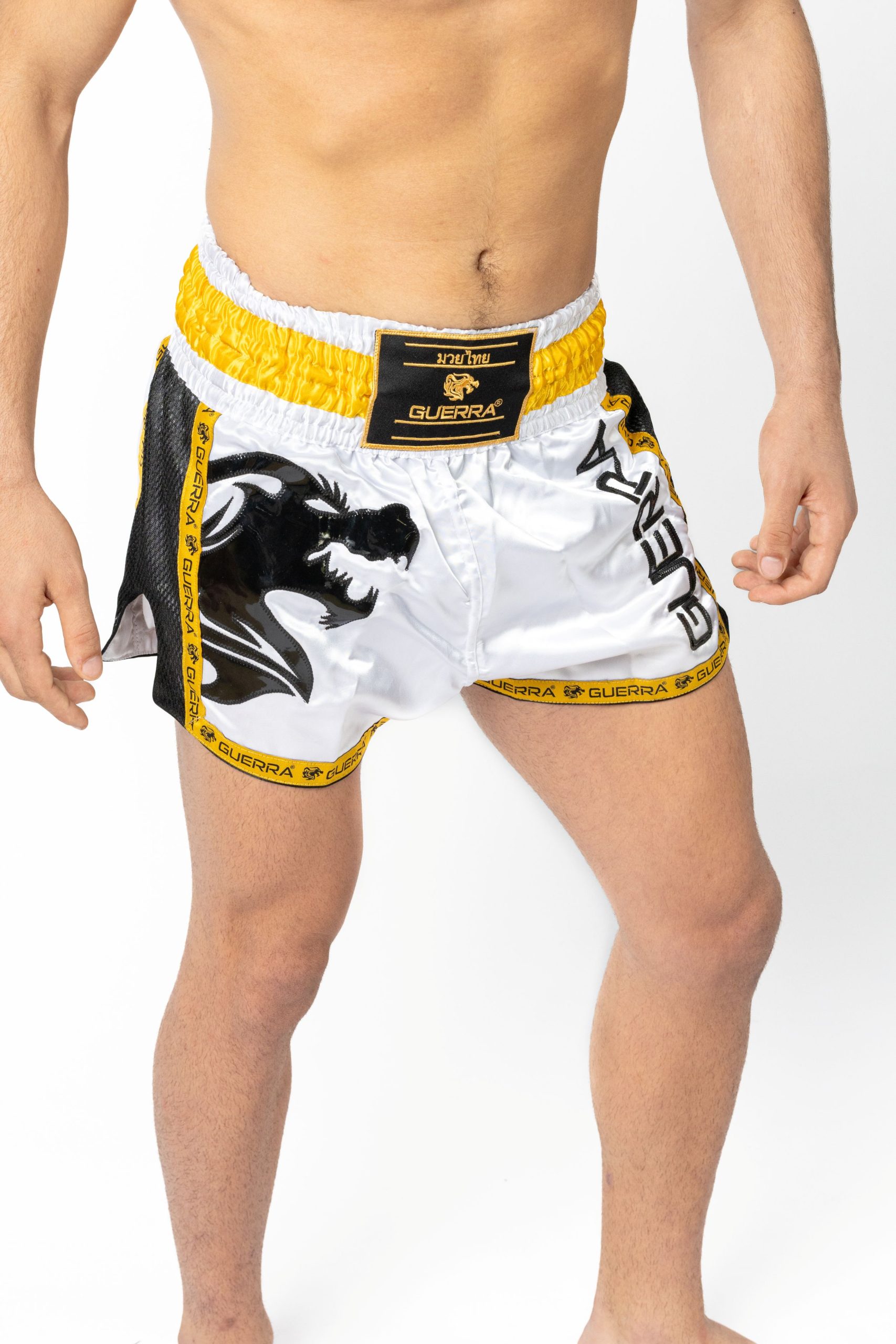 Muay Thai Shorts