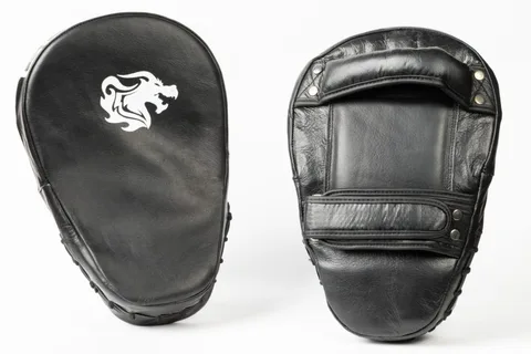 Kicking Pads (Small)