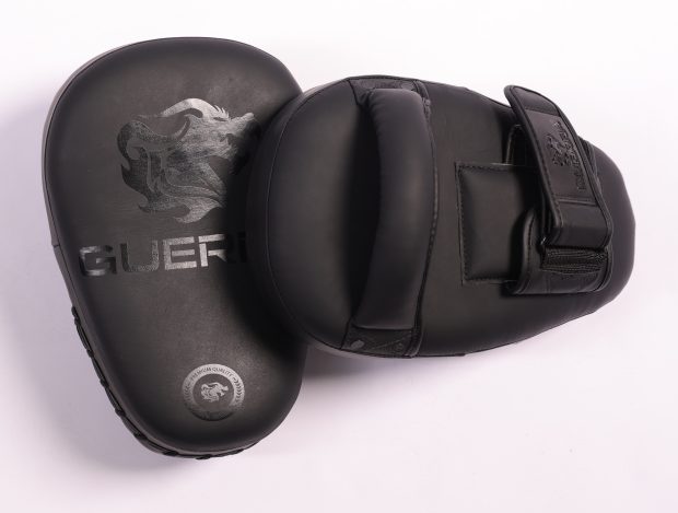 Kicking Mitts