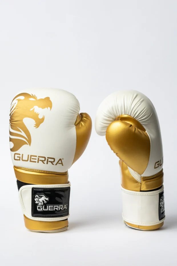 Boxing Gloves - Contender