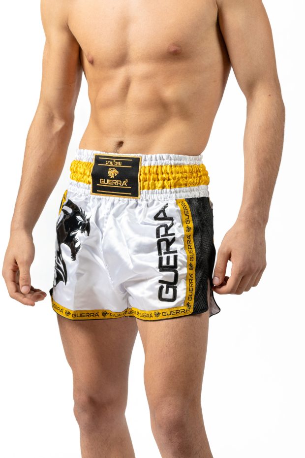 Muay Thai Shorts - Image 2