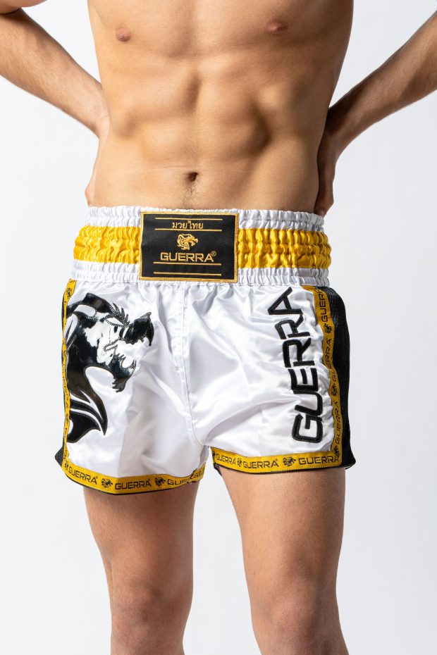 Muay Thai Shorts - Image 3