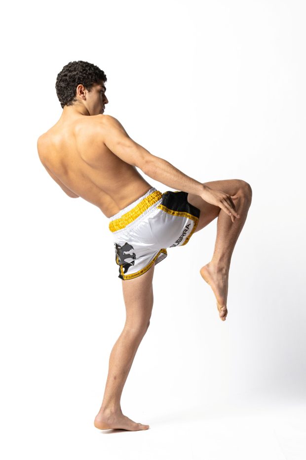 Muay Thai Shorts - Image 6