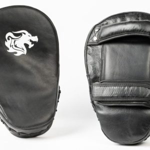 Kicking Pads (Small)