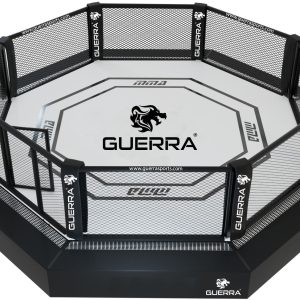 MMA Cage - Competition