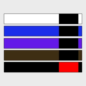 BJJ - Belts (Adult)