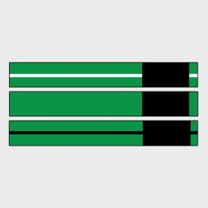 BJJ - Green Belt
