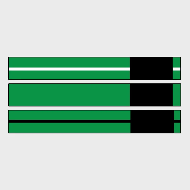 BJJ - Green Belt
